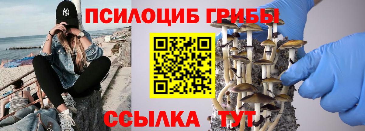 Хасавюрт  Галлюциногенные грибы Psilocybe  Вход с VPN 